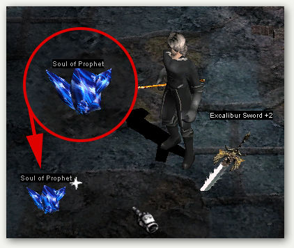 Quest Evolución - Paso 6