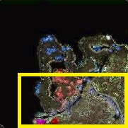 Mapa de GOLDEN HELL MAINE (Aida)
